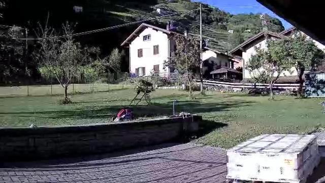 Joy Valtellina Per Amanti Degli Animali Hotell Tresenda Eksteriør bilde