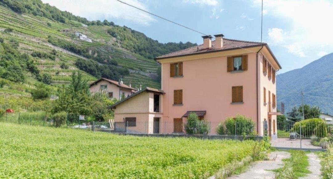 Joy Valtellina Per Amanti Degli Animali Hotell Tresenda Eksteriør bilde